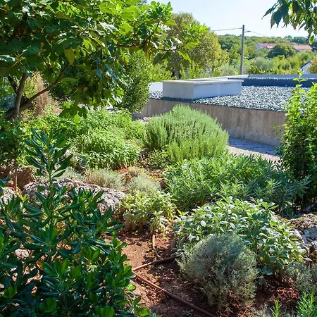 Luxury Jerini House With Pool And Wellness Bajcici